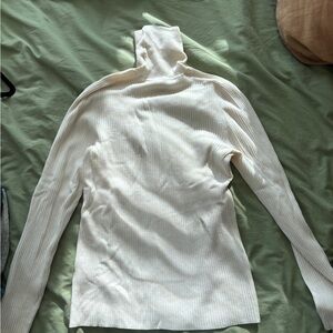 Everlane Merino Turtleneck